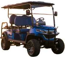 4 Seater Golf Cart